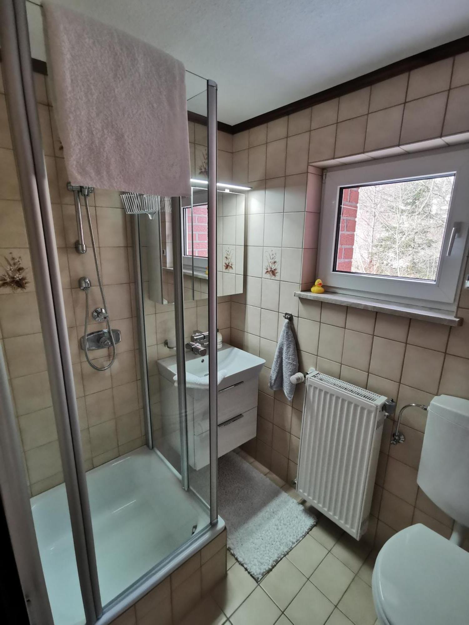Ferienhaus Aanthuus Brilon Dış mekan fotoğraf